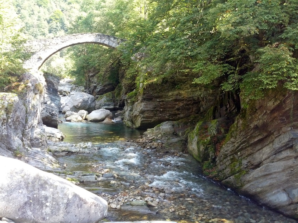 DSC00178_11.jpg