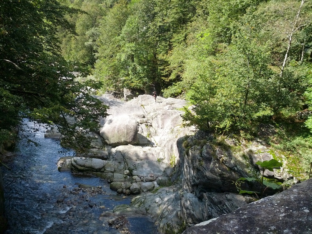 DSC00178_5.jpg