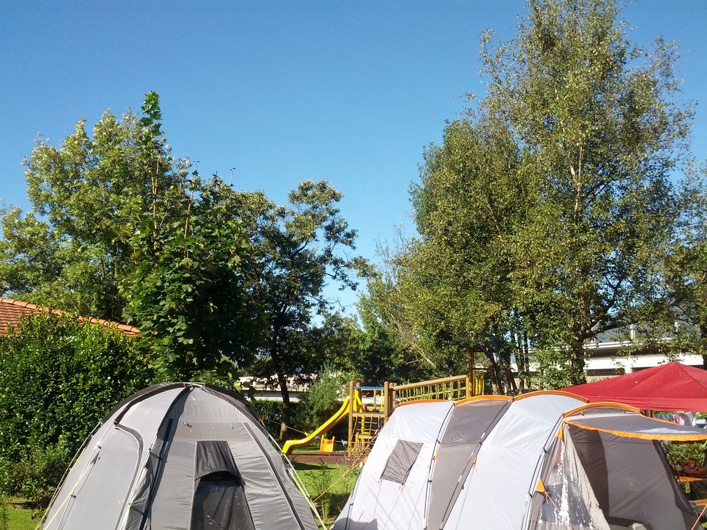 DSC00201.jpg
