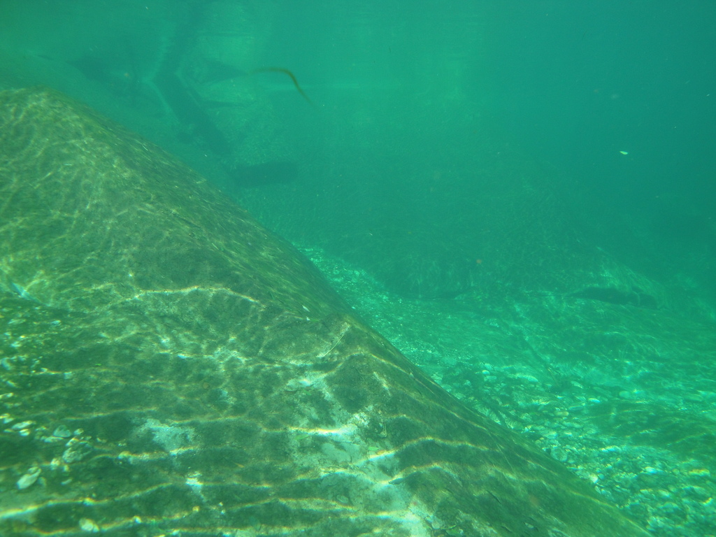DSC00214.JPG