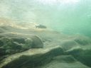 DSC00047.JPG