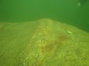 DSC00101.JPG