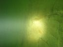 DSC00113.JPG