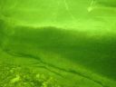 DSC00114.JPG