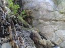 DSC00124.JPG