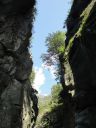 DSC00137.JPG