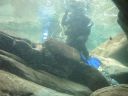 DSC00168.JPG