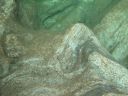 DSC00170.JPG