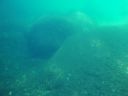 DSC00185.JPG