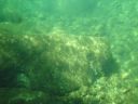 DSC00186.JPG