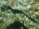 DSC00188.JPG