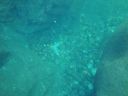 DSC00195.JPG
