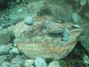 DSC00217.JPG