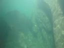 DSC00237.JPG