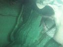 DSC00240.JPG