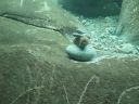 DSC00245.JPG